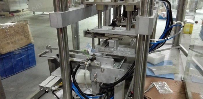 星火包装机械*产品试剂检测卡 生物试剂卡自动灌装封口机