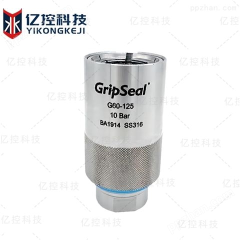 G/R英制螺纹热水器专用不锈钢密封测试接头