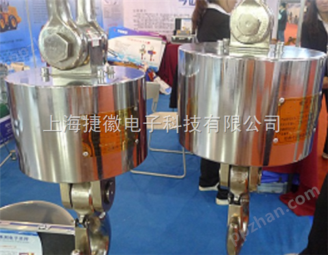 上海50吨带打印电子吊泵厂家